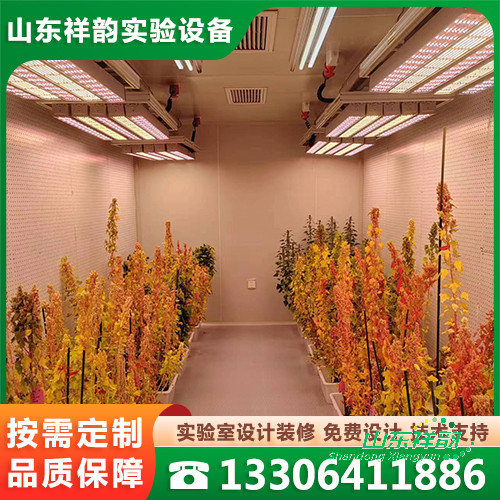 人工智能气候室
