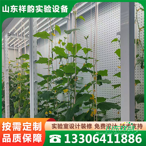人工智能组培室