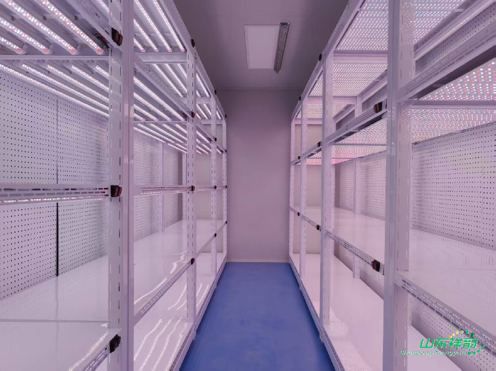 济南章丘区生测实验室-人工智能气候室项目